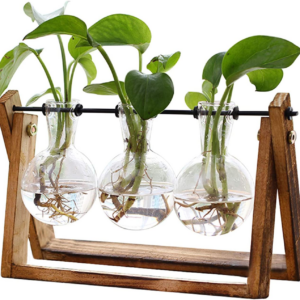 Plant Terrarium With Wooden Stand Air Planter